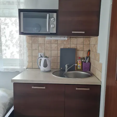 Goscinne Na Szlaku Guest house *